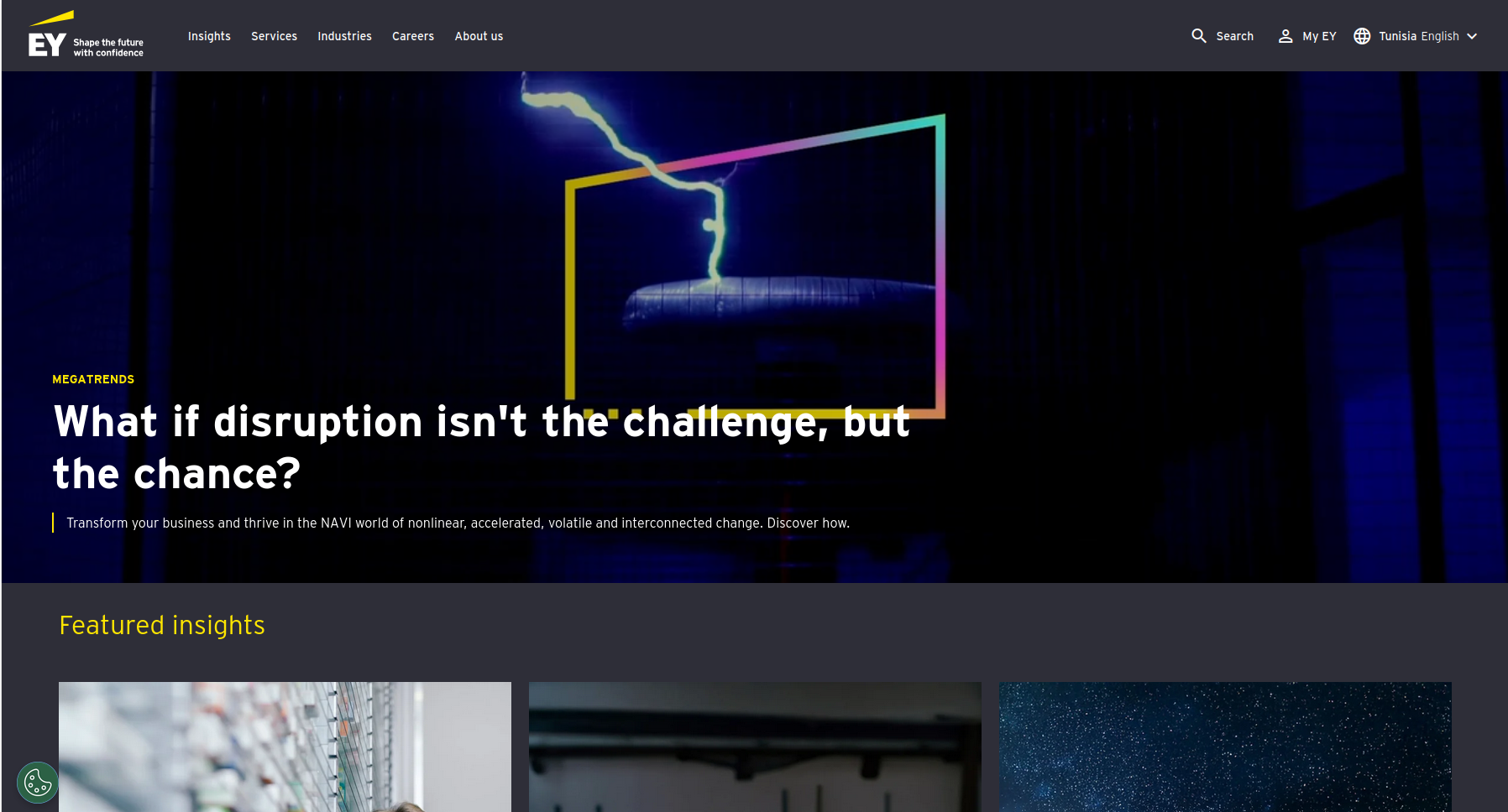 ERNST Website